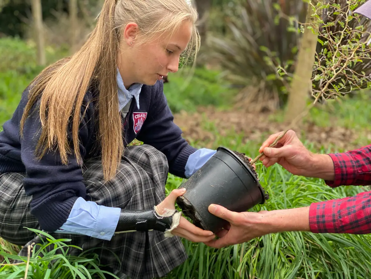 Students taking a native plant out of its pot for planting