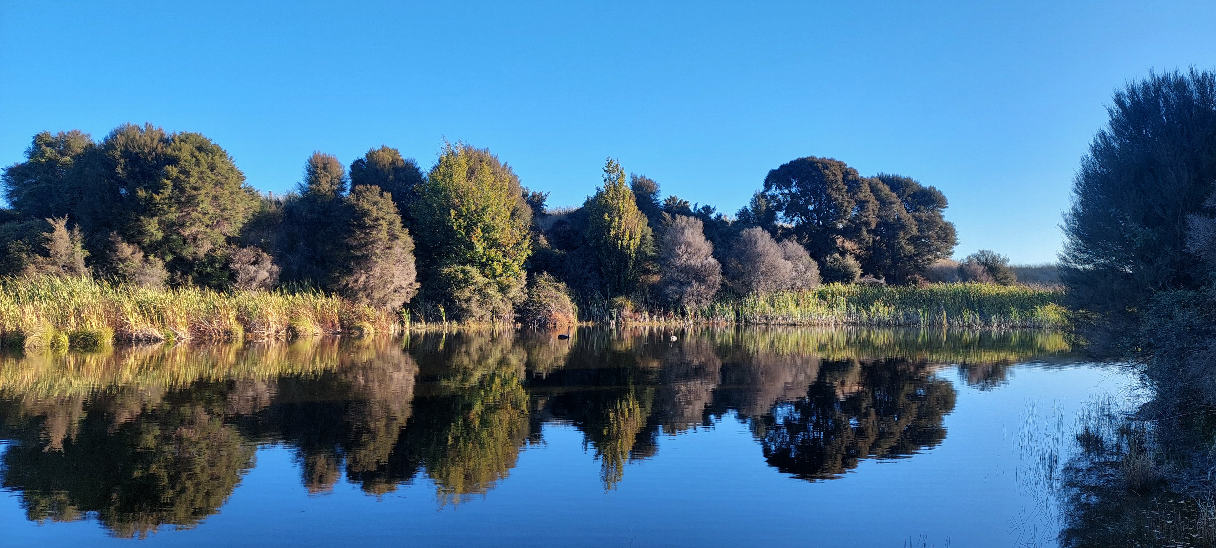 Hapua lake