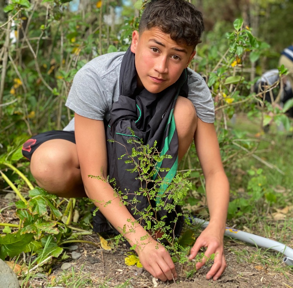 Rathkeale College student Carlo Isaac plants a kowhai as part of a school planting activity