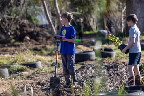 Gladstone School students planting native trees